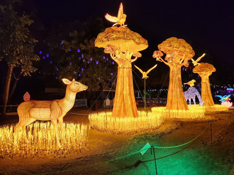 Visiting Solo for a Mindful Morning Walk