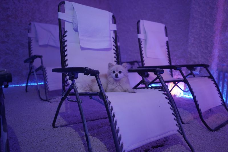 Why North Jersey Keeps Coming Back