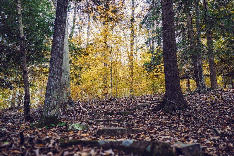 Shawnee State Park Backpack Camps — West Portsmouth