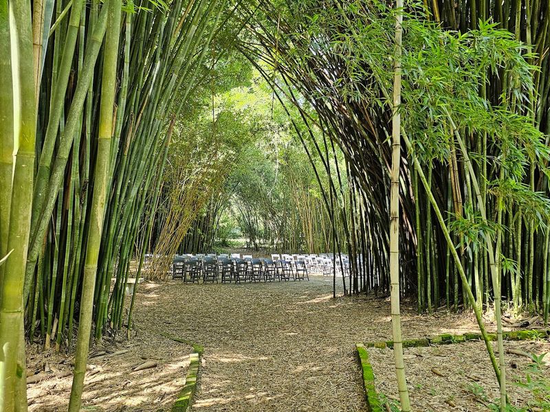 Dog-Friendly Trails: Bringing Your Four-Legged Companion Along