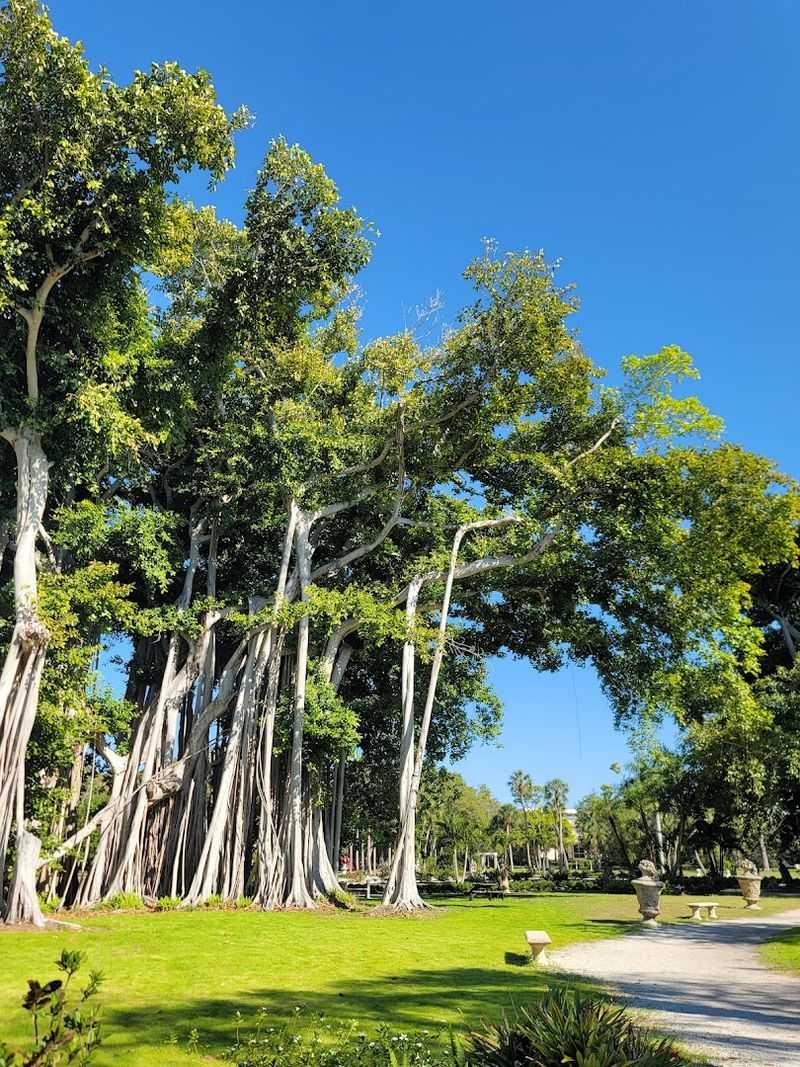 The Bayfront Gardens: Sculpture, Banyan Trees, and Open Sky