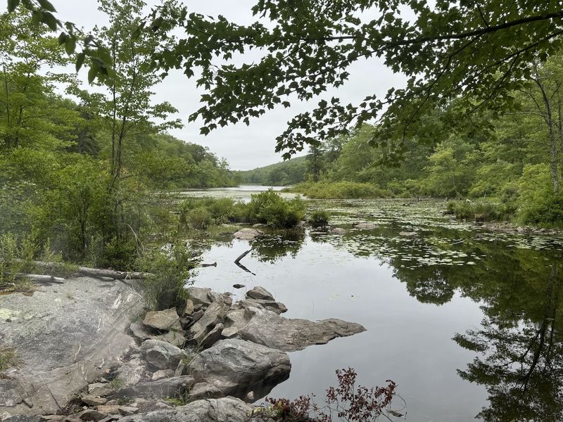 The Appalachian Trail Is Practically at the Door