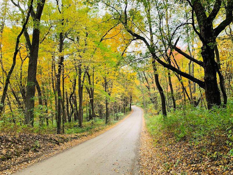 Disc Golf, Bikes, and More Ways to Stay Busy