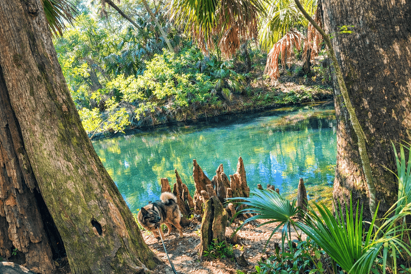 Picnic Areas Designed for a Relaxed Day Out