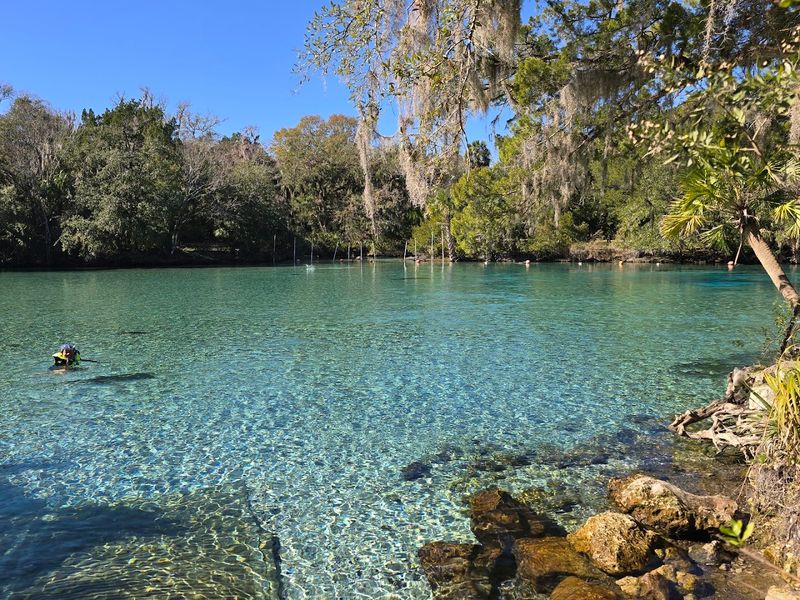 Snorkeling and Swimming in Natural Springs