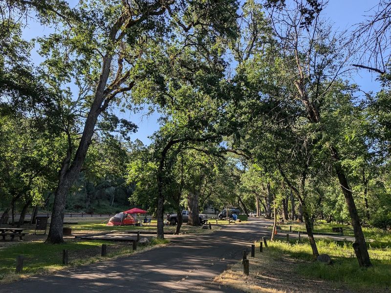 Disc Golf on a Course Worth Playing