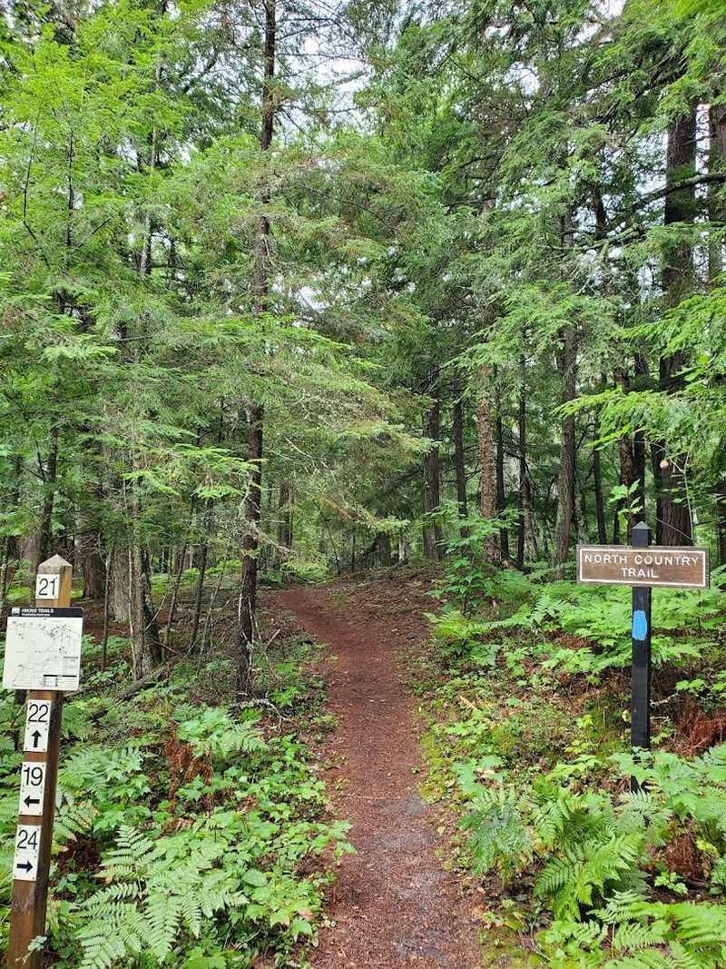 Hiking Trails Worth Every Step