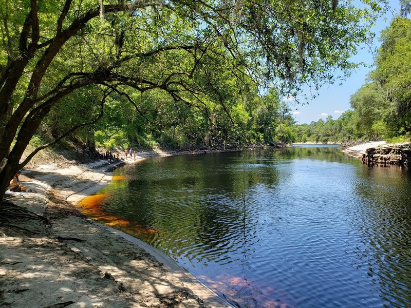 The Suwannee River Experience