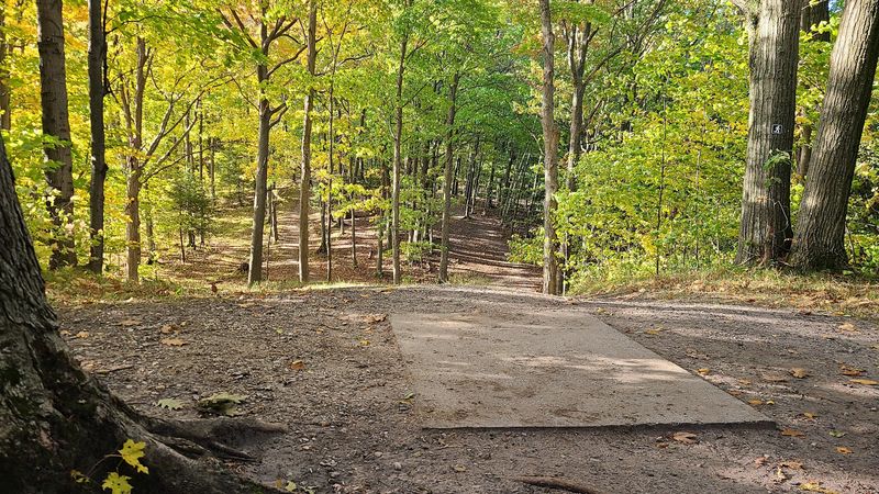 Best Times to Visit and What to Expect Each Season