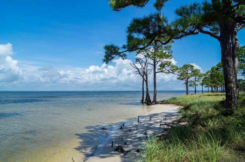 Park Facilities and Ongoing Improvements: Clean, Functional, and Getting Better