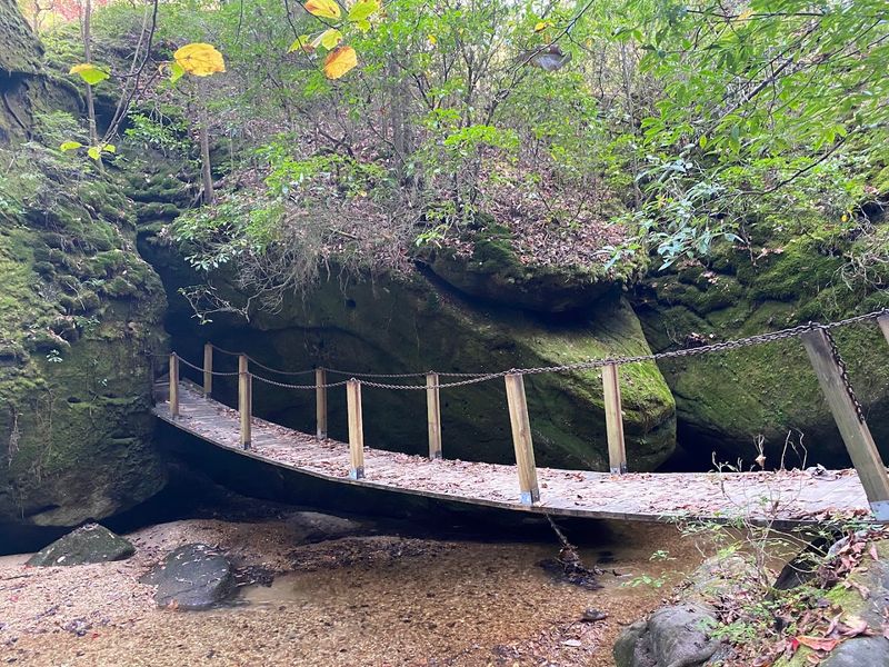 Admission Prices and What to Expect at the Gate