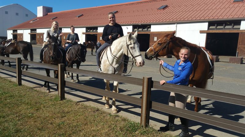 Horse Stables and Equestrian Access