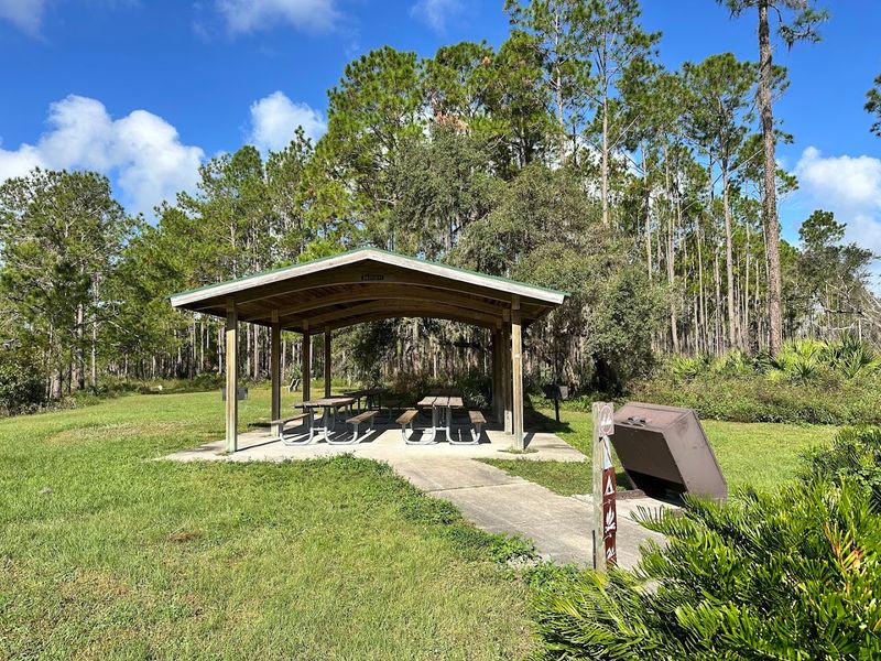 The Picnic Area and Why It Deserves More Credit