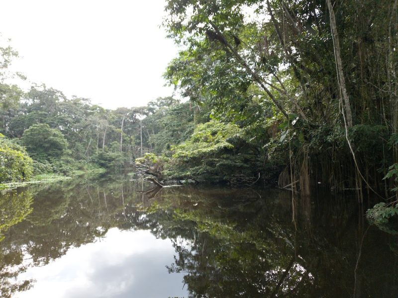 The Ecuadorian Amazon including Yasuni National Park
