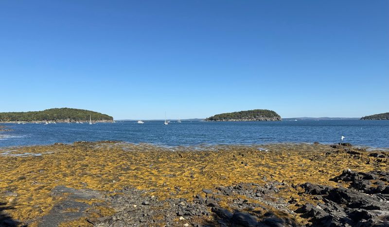 Bar Harbor, Maine