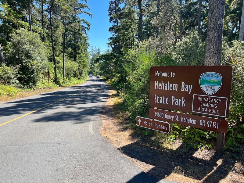 Nehalem Bay State Park - Manzanita