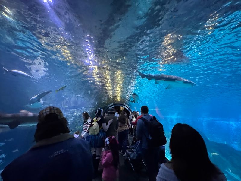 Adventure Aquarium, Camden, New Jersey