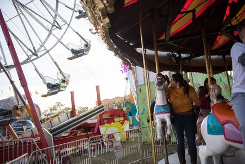 Live Music and Entertainment That Sets the Mood