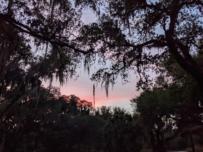 Three Lakes Wildlife Management Area (Osceola County)