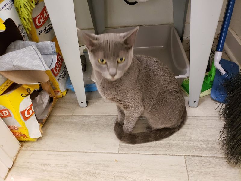 Why Cleanliness Is a Big Deal Here