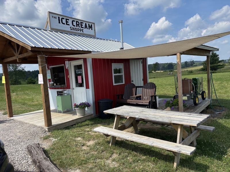 Tips for Getting the Most Out of Your Visit