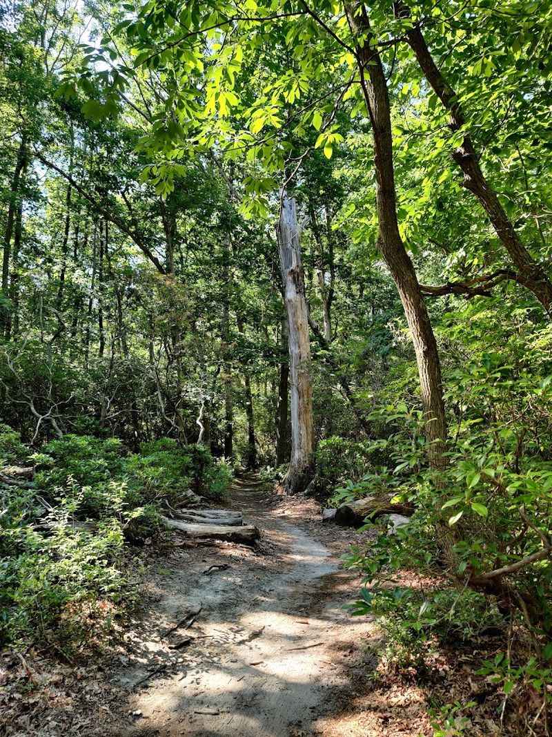 Allaire State Park, Wall Township