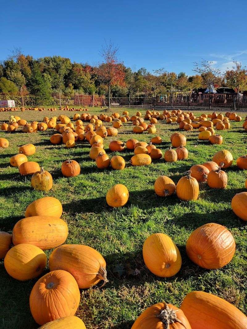 Oasis Family Farm in Robbinsville, New Jersey