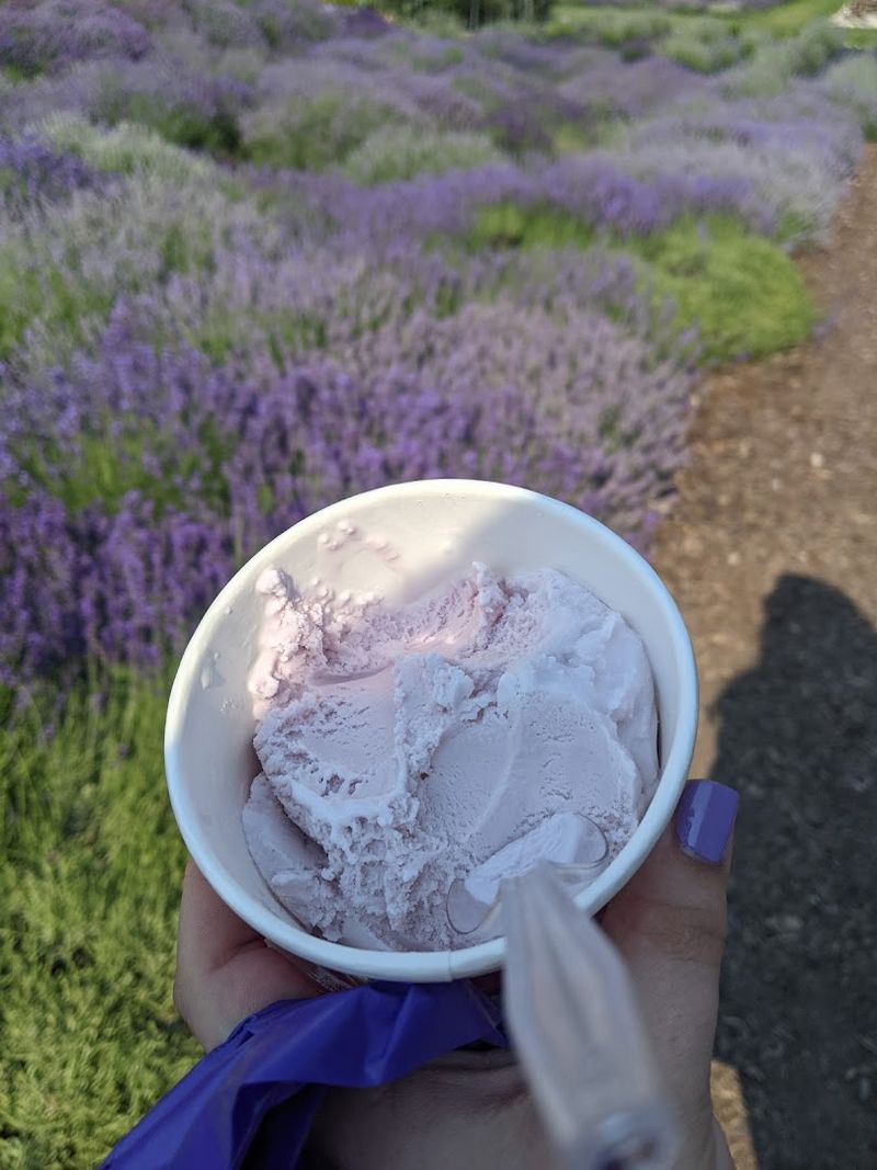 Lavender Ice Cream Is The Stop Sign You Actually Obey