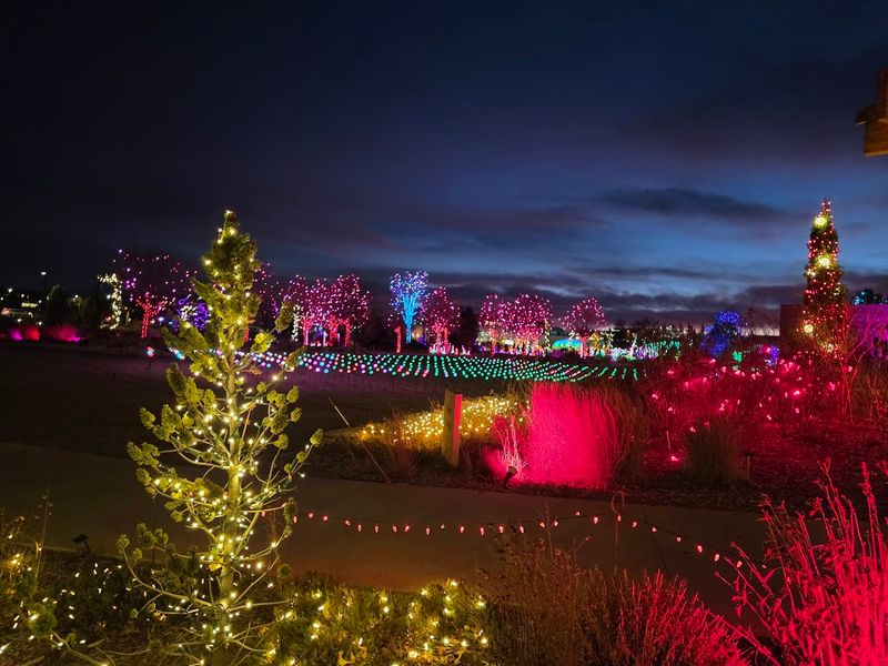 Seasonal Events That Keep Visitors Coming Back