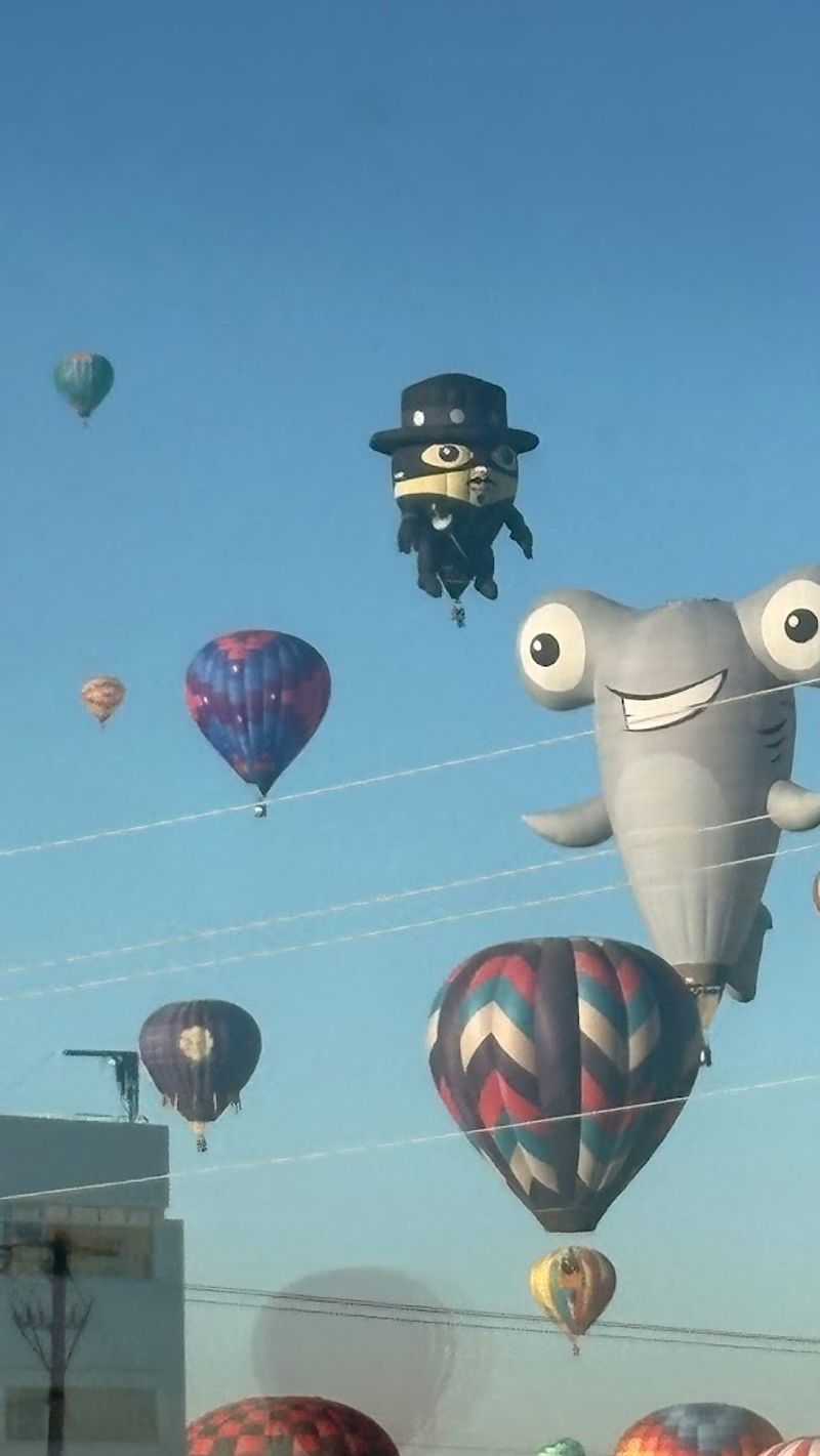 Albuquerque International Balloon Fiesta – USA