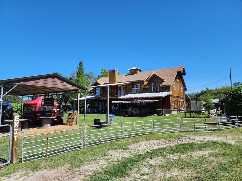 Horseback Riding Through Hernando County