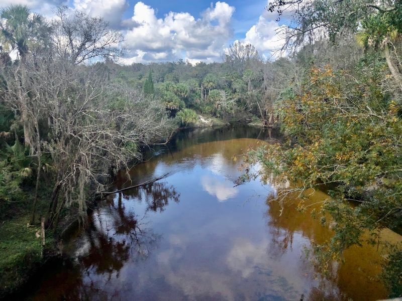 Paddling the Alafia River: A Water Trail Worth Every Stroke
