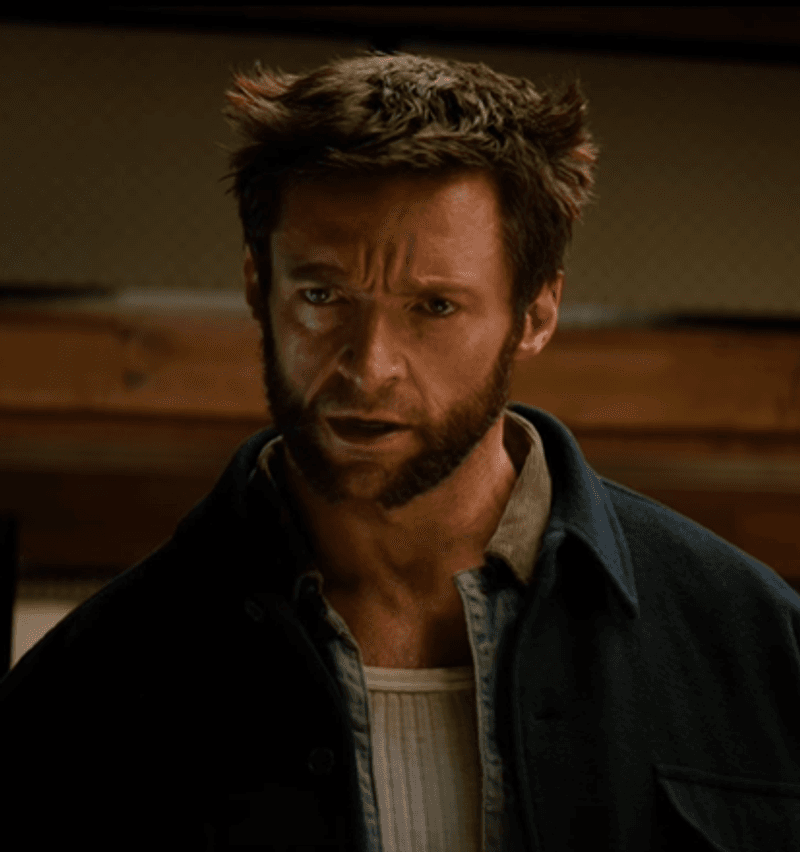 Hugh Jackman as Wolverine