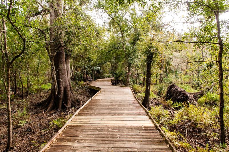 Lake Lotus Park (Altamonte Springs)