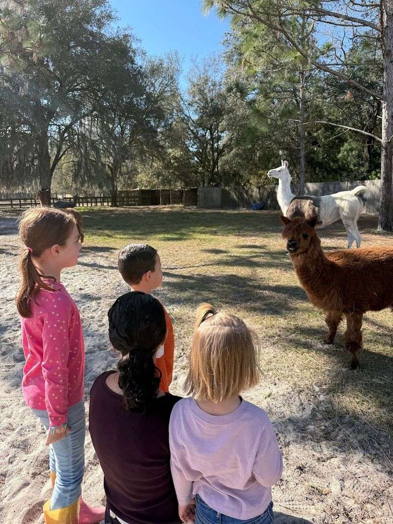 Tips for Planning Your Visit