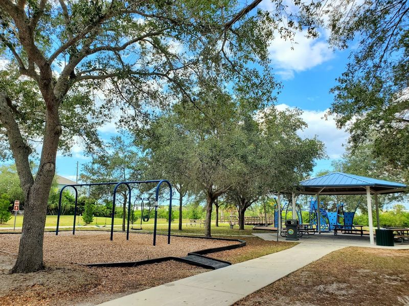 The Playground Right Next Door