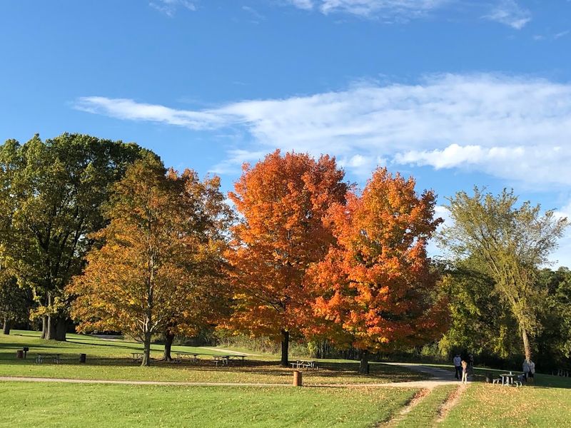 The Best Seasons to Visit and What Each One Offers