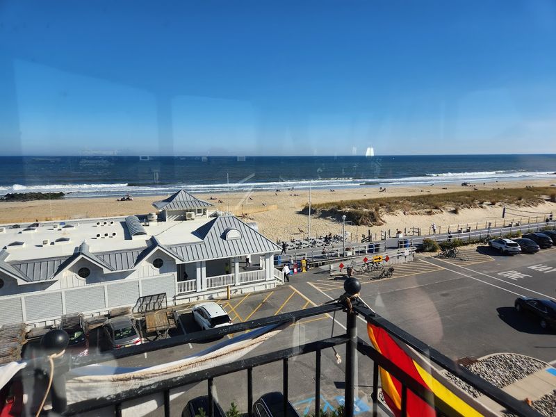 Whale Watching From a Historic Vantage Point