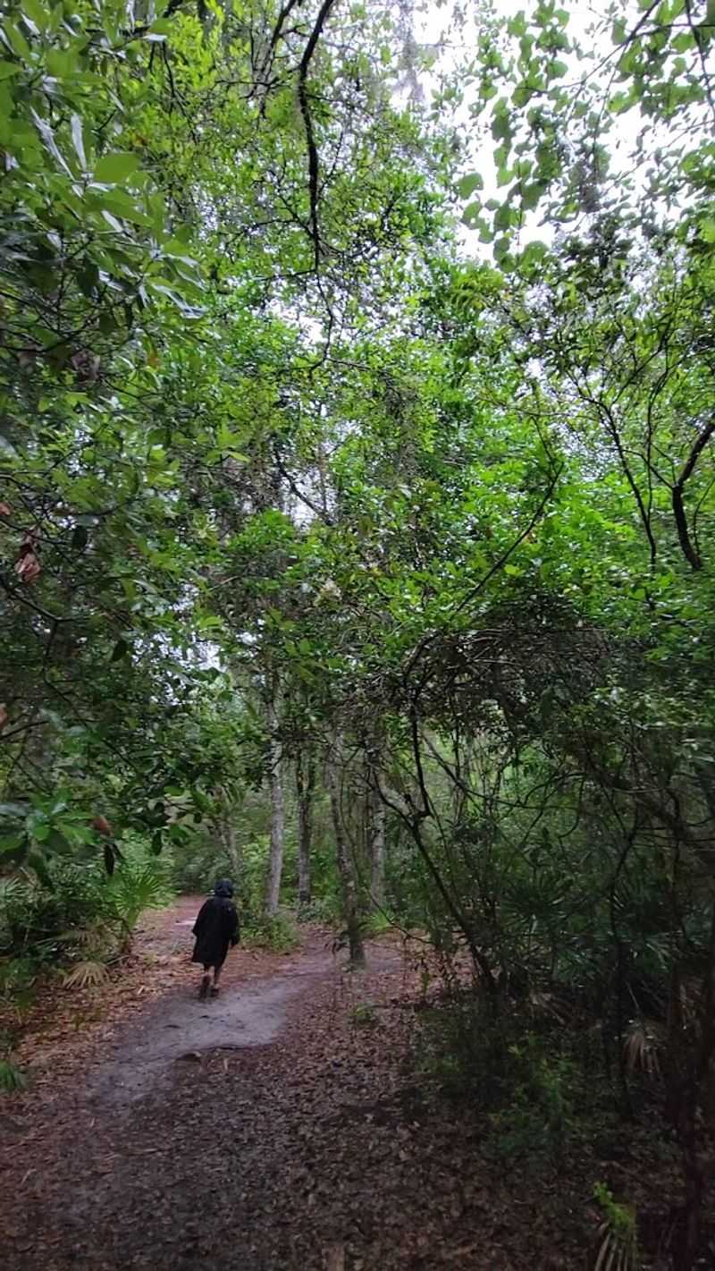 Best Times to Visit and Practical Tips for a Great Trip