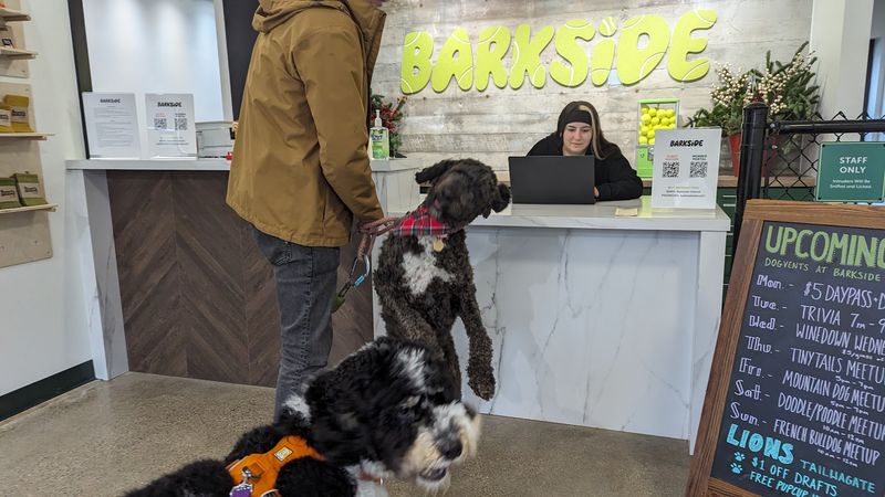 Day Passes, Memberships, and What It Actually Costs