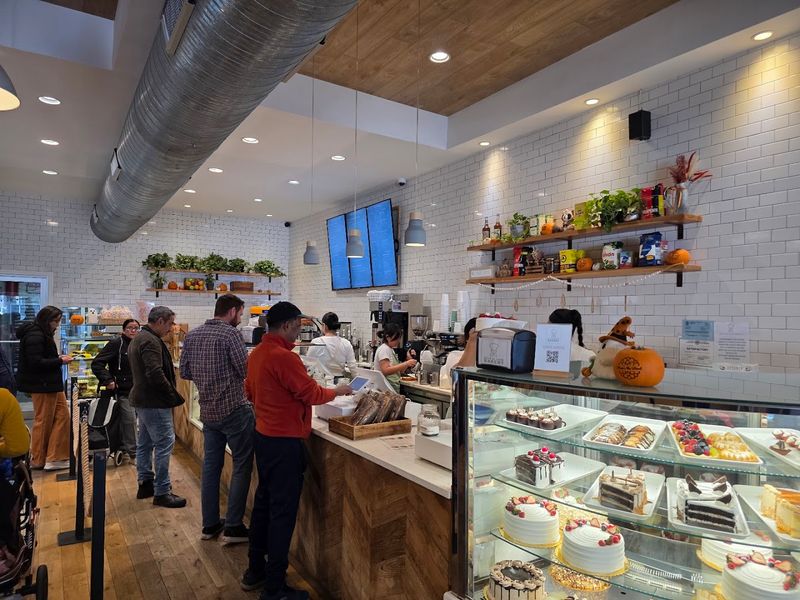 The Line, the Crowd, and How to Handle Both