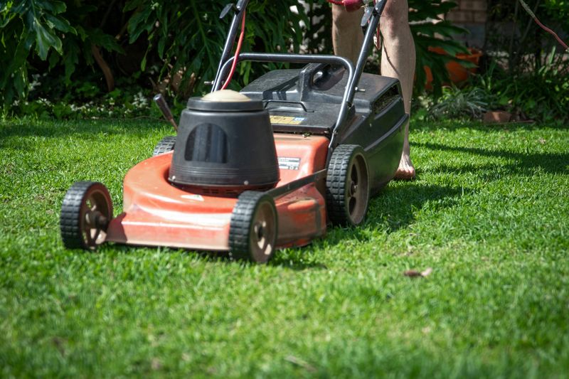 Hand-Mown Lawns