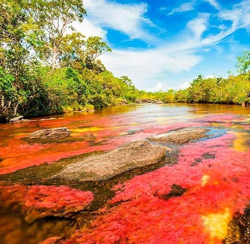 Cano Cristales, Colombia