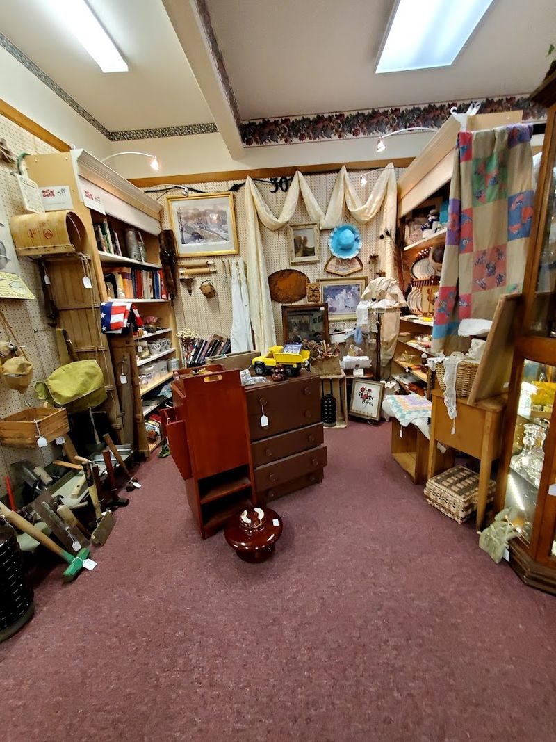 Friendly Help When the Shelves Get Serious