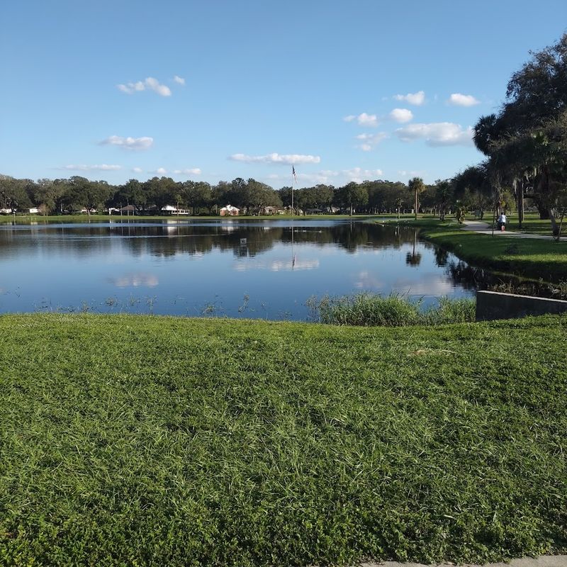 Why Zephyrhills Deserves More Attention