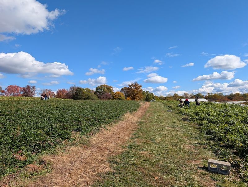 Practical Tips for Getting the Most Out of a Visit