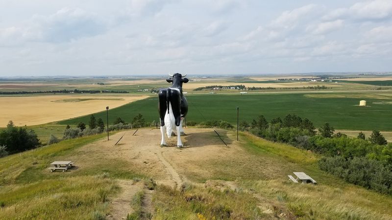 Tips for Planning Your Visit