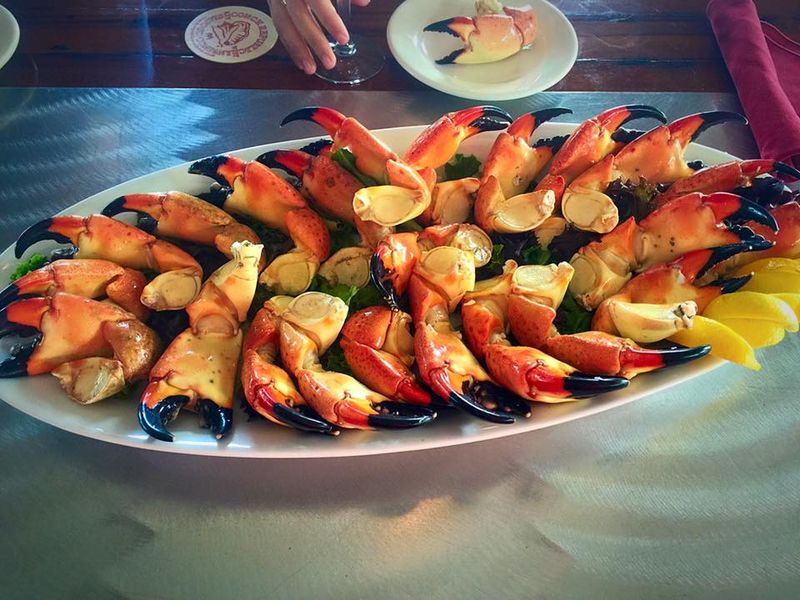 Fresh Seafood Catches That Shine on the Menu