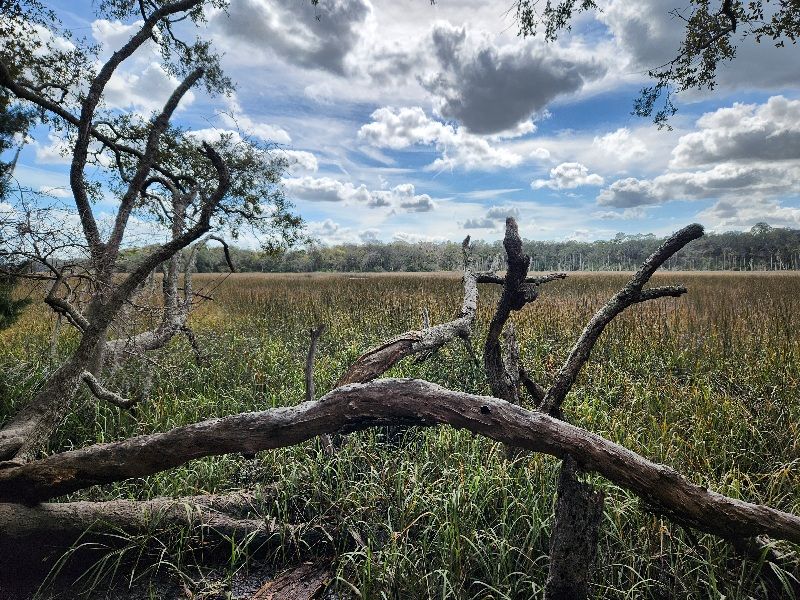 Why This Trail Keeps Drawing People Back