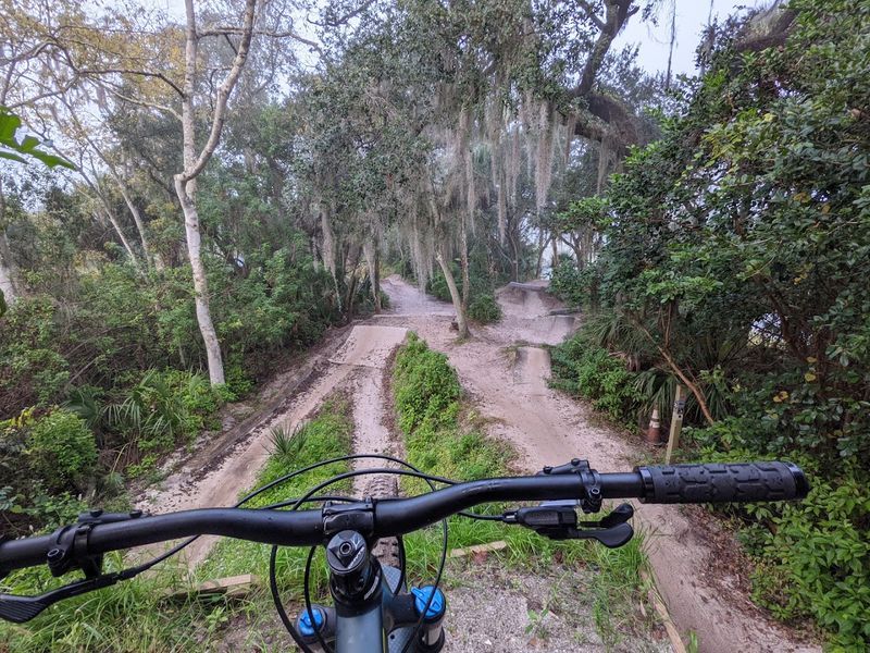 Best Times to Visit and What to Expect